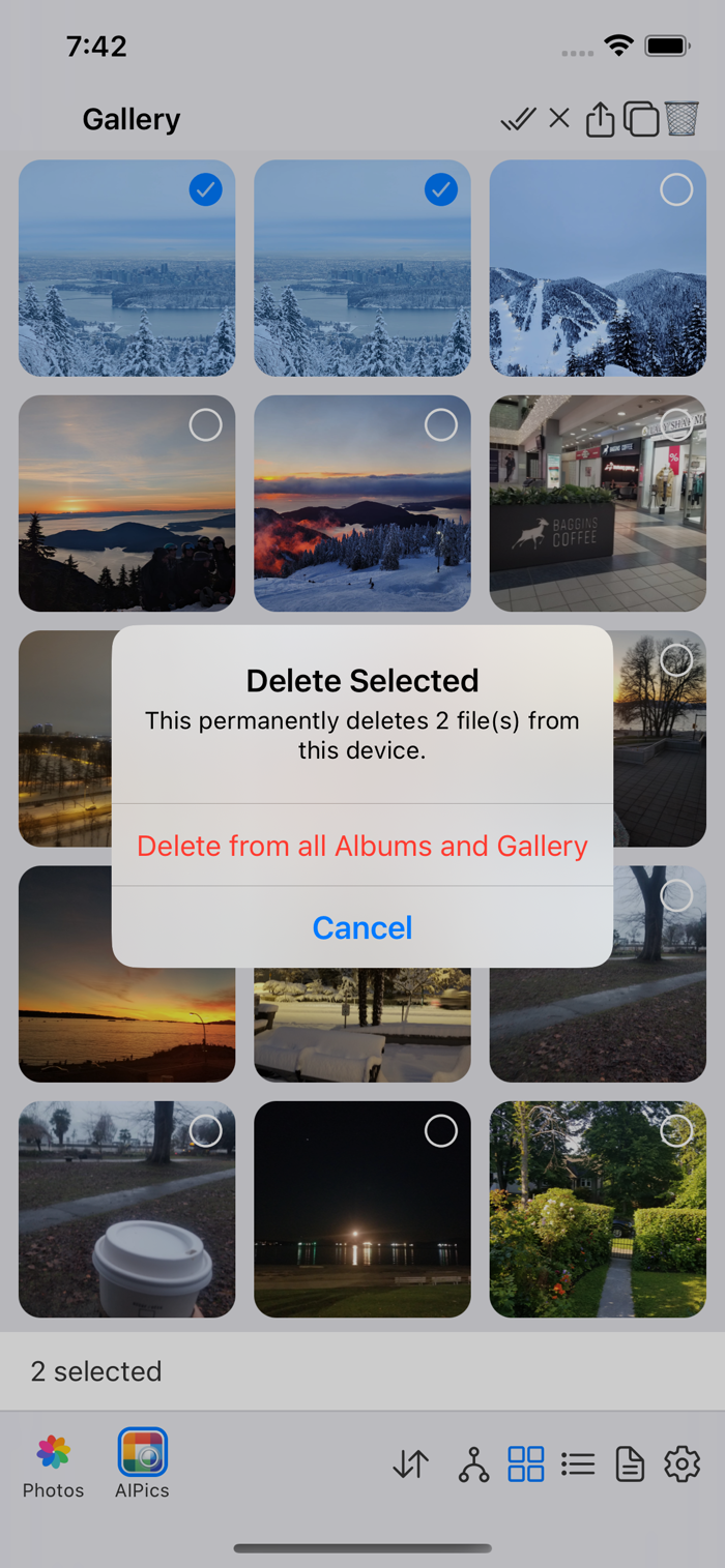The delete-from-Gallery warning