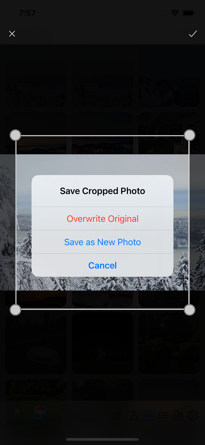 Диалог «Save Cropped Photo»